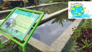 Peringati Hari Air, Aqua Sukabumi Kembangkan Konservasi