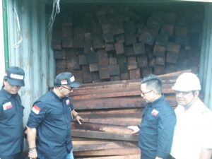Pasca Digerebek, Balai Gakkum LHK Target Pemodal Mafia Kayu Merbau Papua