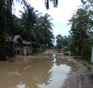 Dampak Bangun Jalan Tanpa Parit, Warga Dusun Huta Baru Butuh Perhatian Serius