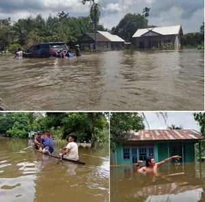 IMG 20221013 WA0046 1