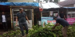 Sejumlah Ruas Jalan di Pandeglang Terhalang Pohon Tumbang 1 IMG 20230320 WA0057