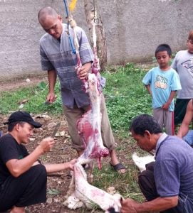 Pengurus PWI Pandeglang Salurkan Daging Kurban 1 IMG 20230630 223154