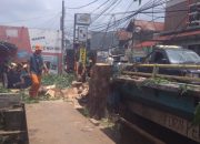 Dikhawatirkan Merusak Turab Air, Pohon Besar di Jalan Raya Caman Ditebang